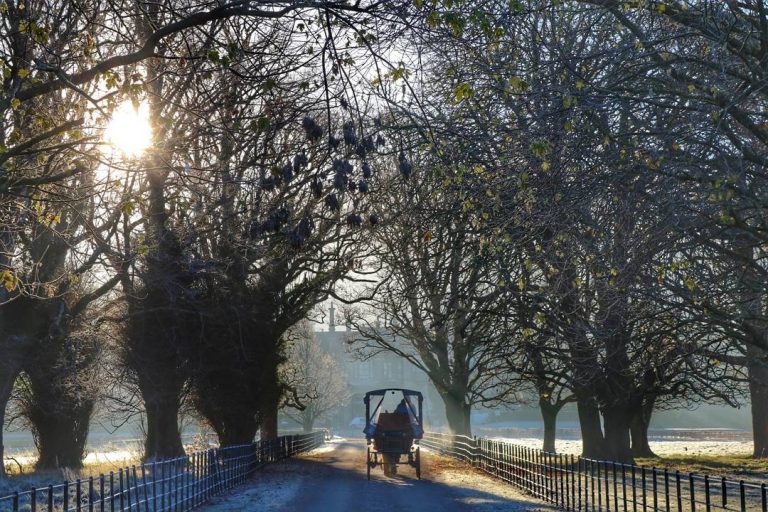 Destination Killarney - Jaunting Cars