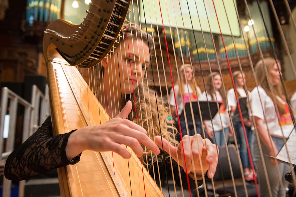 Destination Killarney - Music Lesson Harp