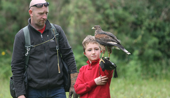 Destination Killarney - Kid at Killarney Falconry