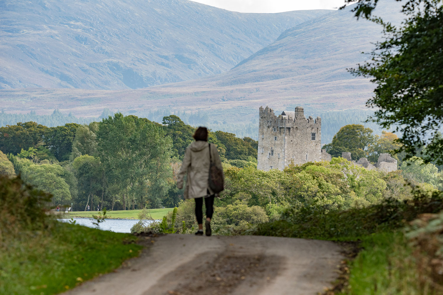 Destination Killarney Killarney National Park Looped Walk