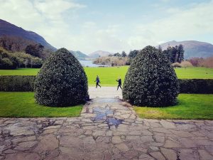 Destination Killarney - Muckross House Trees