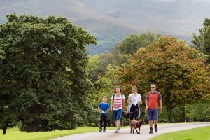 national park walk - Destination Killarney