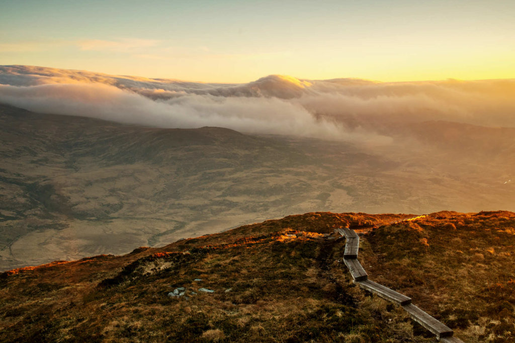 Wooden Path along Torc Mountain