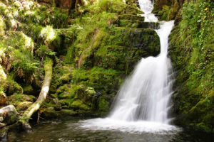 O’Sullivan’s Cascade in Tomies Wood