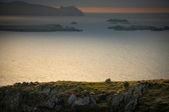 Blasket Island Dingle