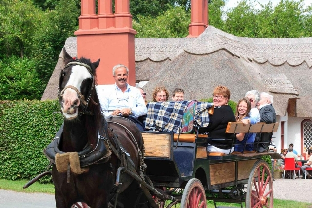 Jaunting Car Killarney - People in Jaunting car in Killarney National Park