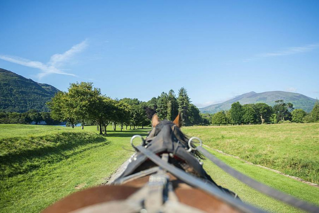 Jaunting Car Killarney