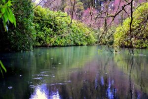 Blue Pool Waters