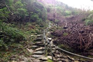 Steps going up Cardiac Hill