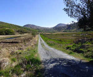 Old Kenmare Road Trail - Destination Killarney